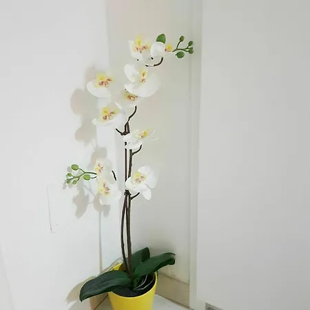 Apartment Happy Lecce